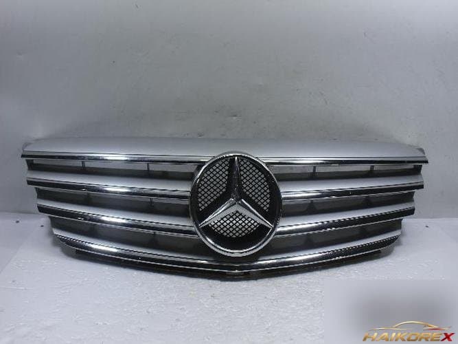 Mercedes-Benz B-Class 2005 — решётка радиатора