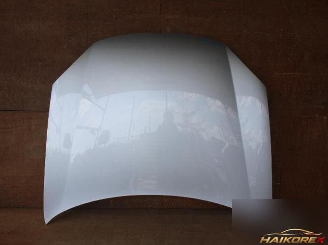 Volkswagen Jetta 2009 — капот