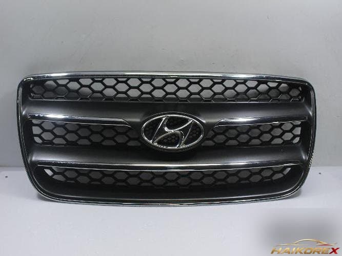 Hyundai Santa Fe 2007 — решётка радиатора 865612B020