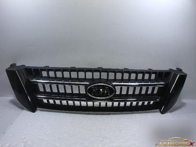 Kia Carnival 2008 — решетка радиатора 86350-4D500