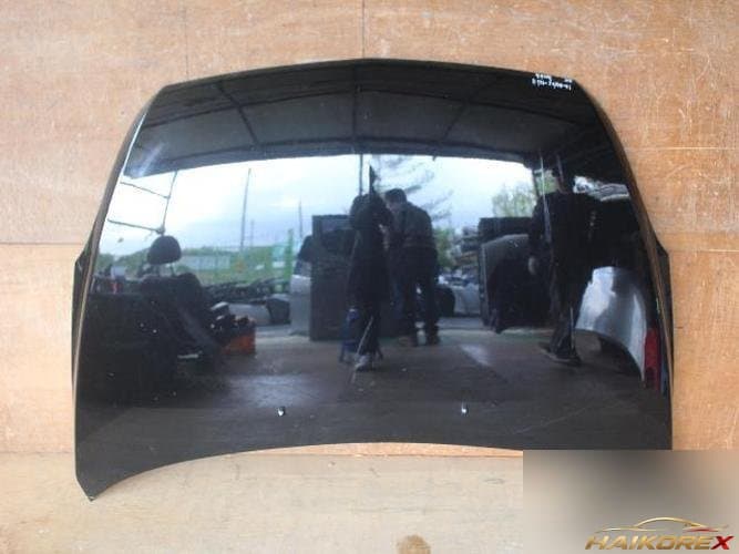 Kia Carnival 2008 — капот третий