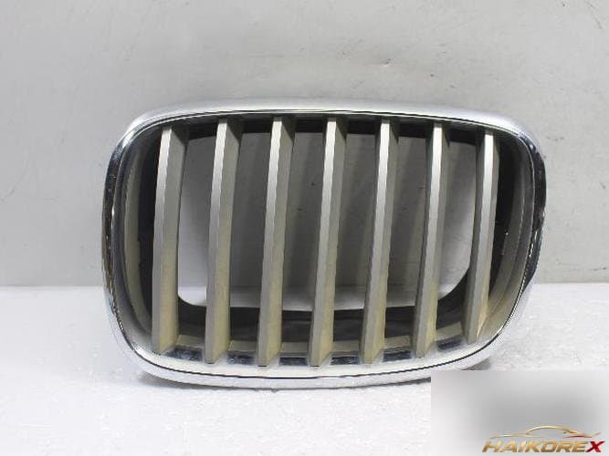 BMW X-series 2008 — решётка радиатора