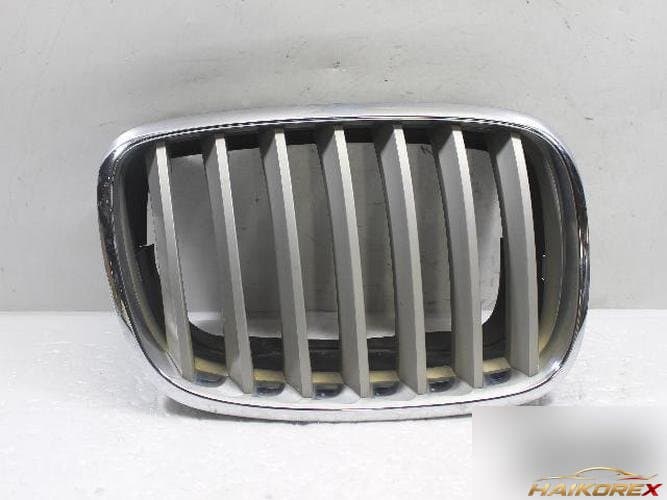 BMW X-series 2008 — решетка радиатора правая