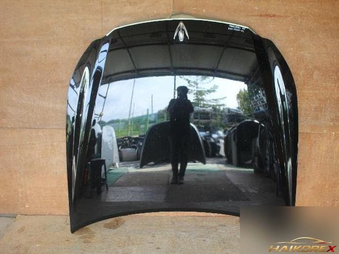 Hyundai Equus 2010 — капот