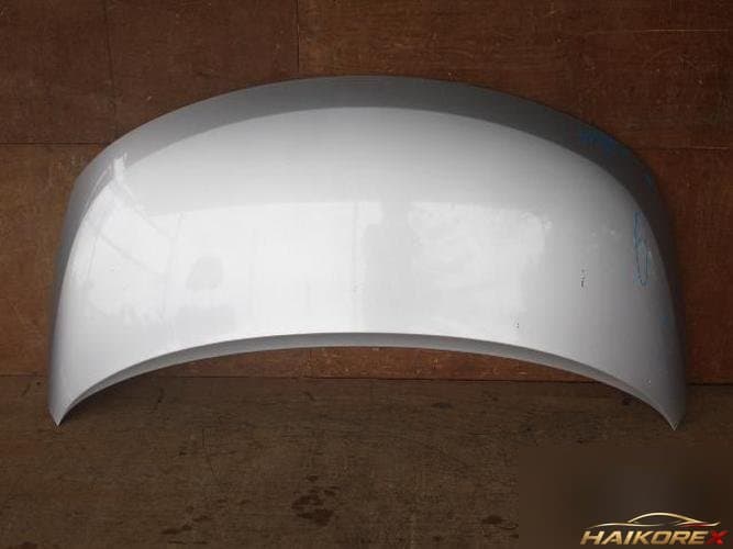 Hyundai Grandstarex 2010 — капот 6