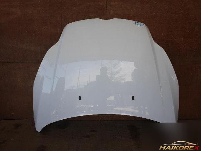 Ford Focus 2013 — капот 1