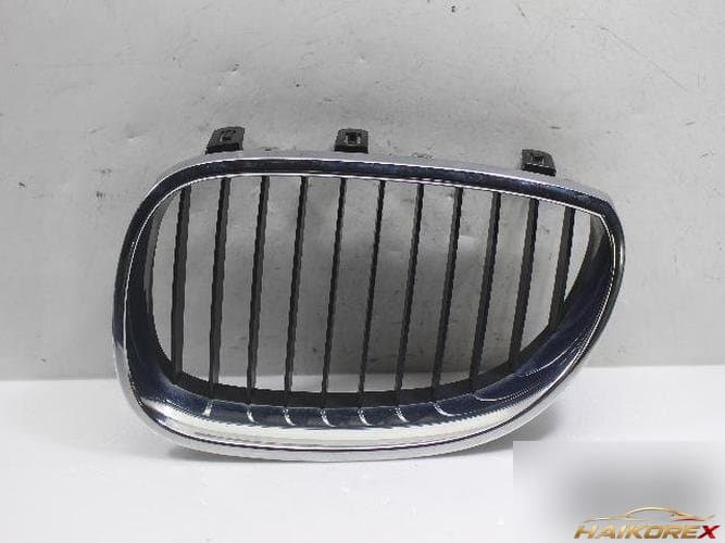 BMW 5 Series 2009 — решётка радиатора 51137065701