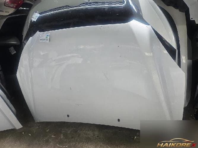 Kia Carens 2007 — капот (2)