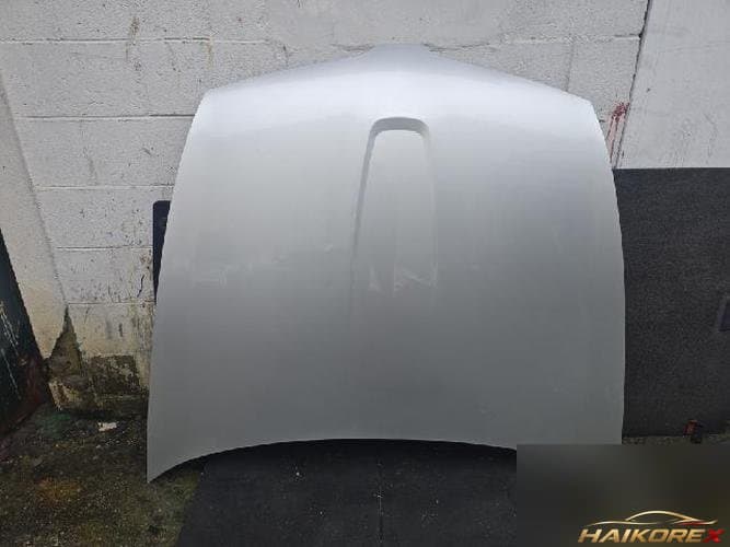 Ford MKS 2010 — капот, второй