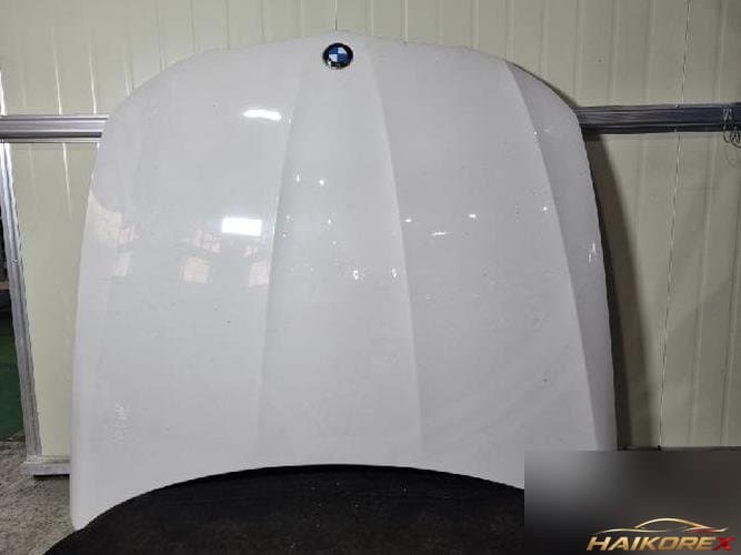 BMW 3 2010 — капот