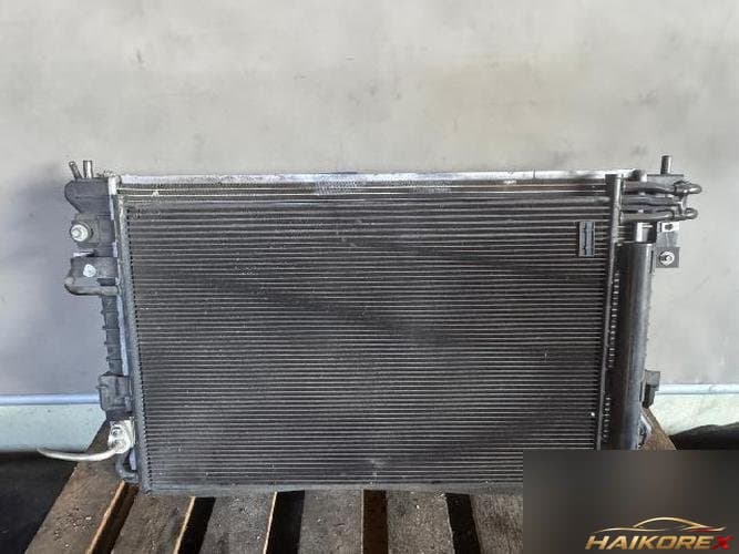 Ford MKS 2014 — радиатор DG13-8005-FA