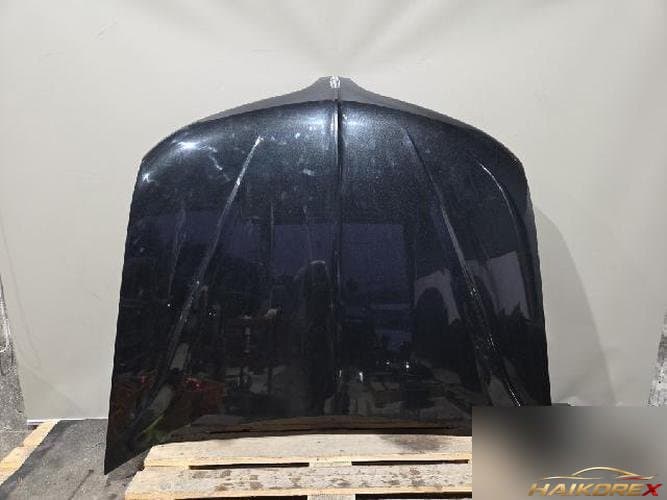 Ford MKS 2014 — капот