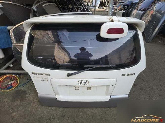 Hyundai Terracan 2005 — задняя дверь (крышка багажника)