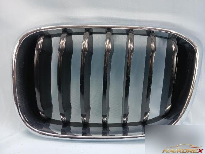 BMW X серия 2019 — решётка радиатора 4