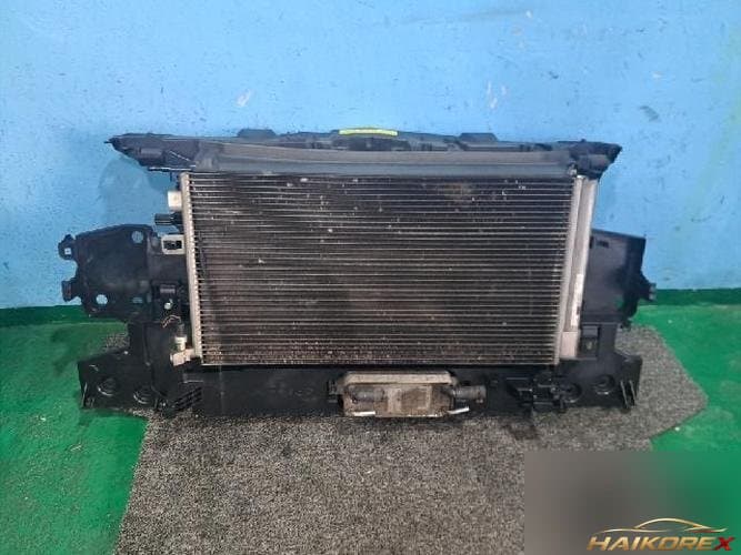 Renault SM3 2011 — радиатор 921000006R