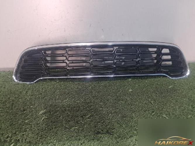Mini Countryman 2011 — решетка радиатора 224059 10