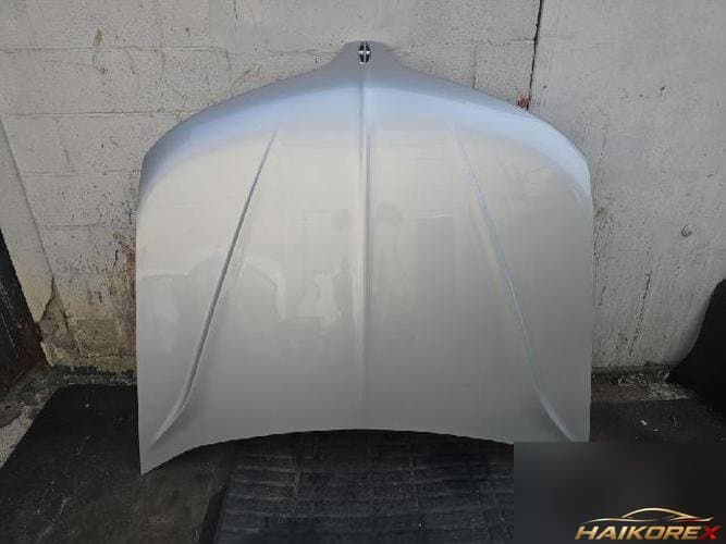 Ford MKS 2014 — капот