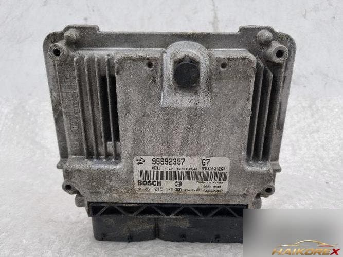 Daewoo Winstorm 2008 — блок управления двигателем ECU 96892357