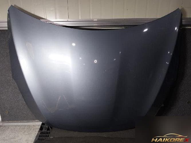 Nissan Altima 2010 — капот 6
