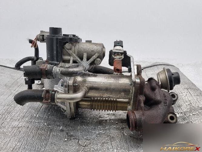Renault SM5 2012 — клапан EGR