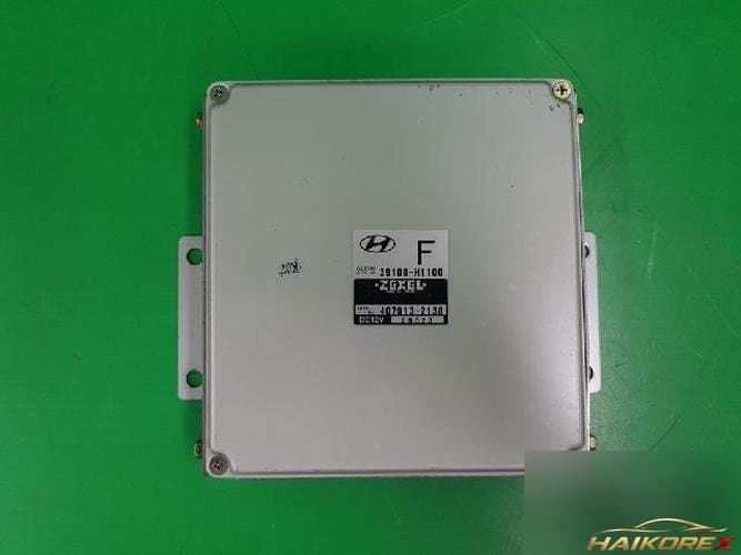 Hyundai Terracan 2002 — блок управления двигателем ECU 39100H1100