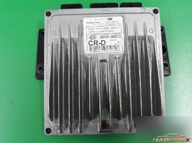Kia Carnival 2003 — блок управления двигателем ECU 391014X510