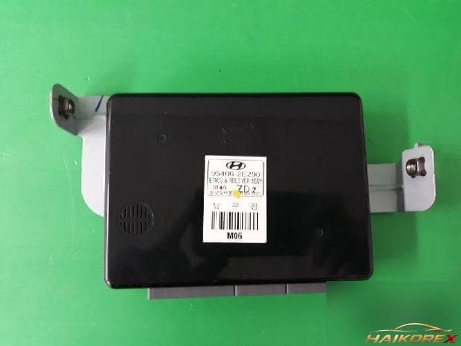 Hyundai Tucson 2004 — ETACS/BCM 954002E200