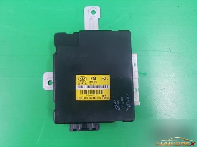 Kia Sorento 2004 — ETACS/BCM 954003E110