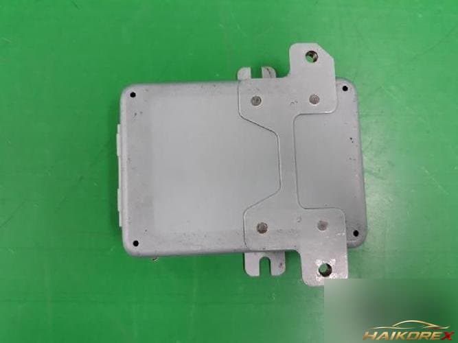 Hyundai Dynasty 1997 — ETACS/BCM 9531037300