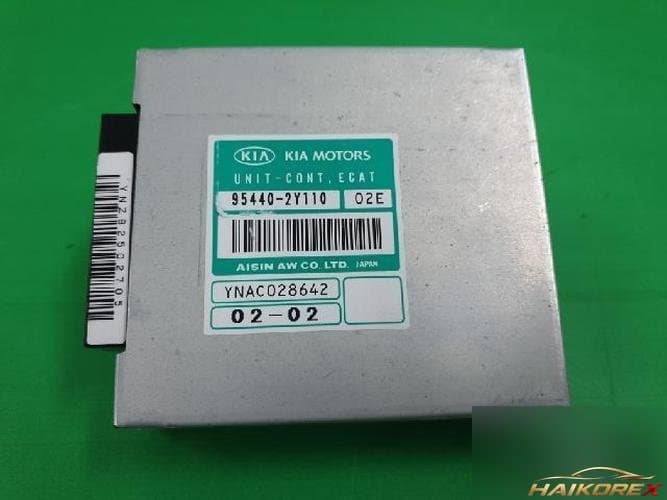 Kia Carnival 2002 — блок ETACS/BCM 954402Y110
