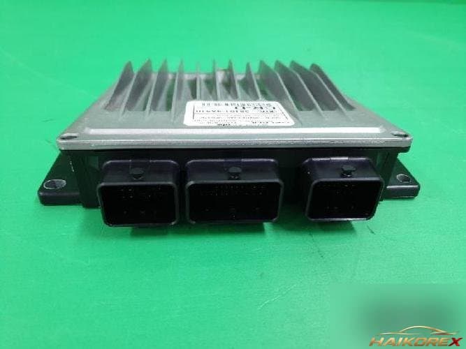 Kia Carnival 2002 — блок управления двигателя ECU 391014X510