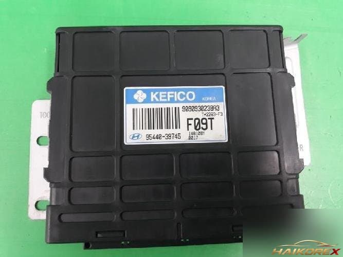 Hyundai Trajet 2004 — блок управления коробкой передач TCU 9544039745