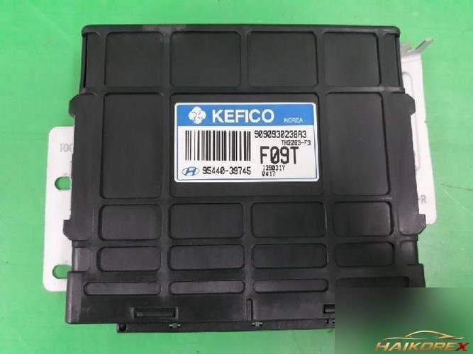 Hyundai Trajet 2004 — блок управления коробкой передач TCU 9544039745 2