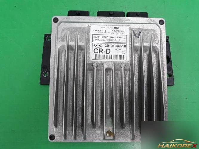 Kia Carnival 2003 — блок управления двигателем ECU 391014X510