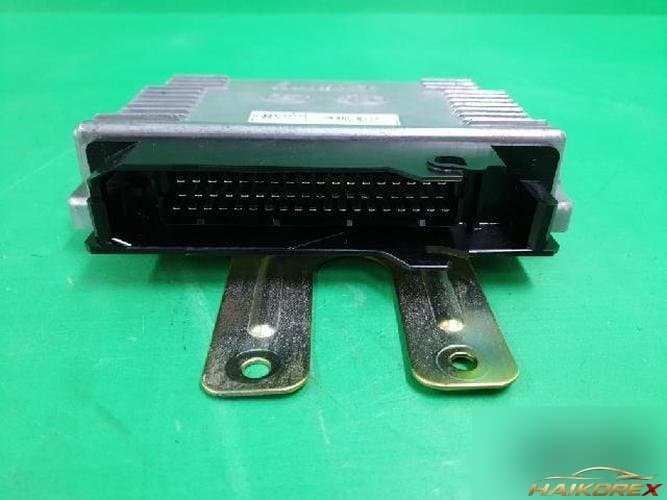 Kia Carens 2001 — ЭБУ ECU 3910623410