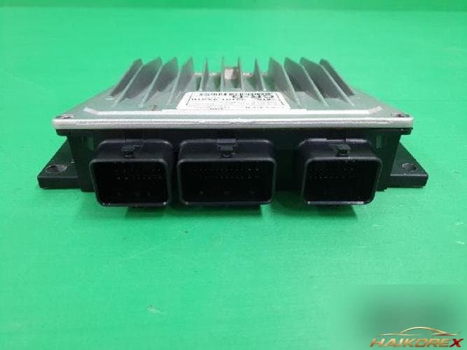 Kia Carnival 2002 — ЭБУ 391014X510