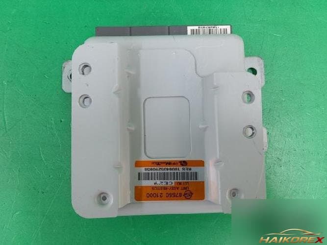 KG Mobility Rodius 2004 — модуль ETACS/BCM 8755021000