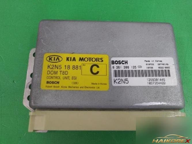 Kia Spectra 2002 — блок управления двигателем ECU 1