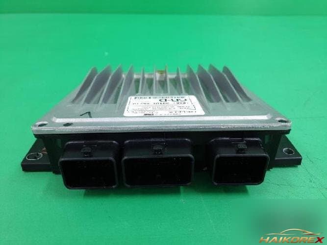 Kia Carnival 2005 — блок управления двигателем ECU 391014X710