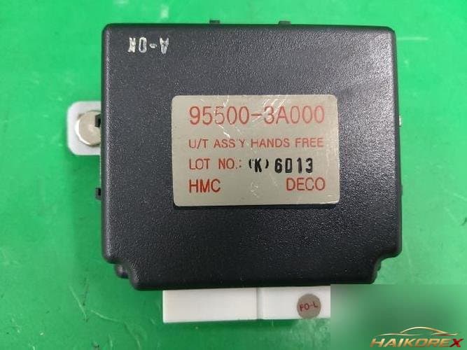 Hyundai Trajet 2007 — ETACS/BCM 955003A000