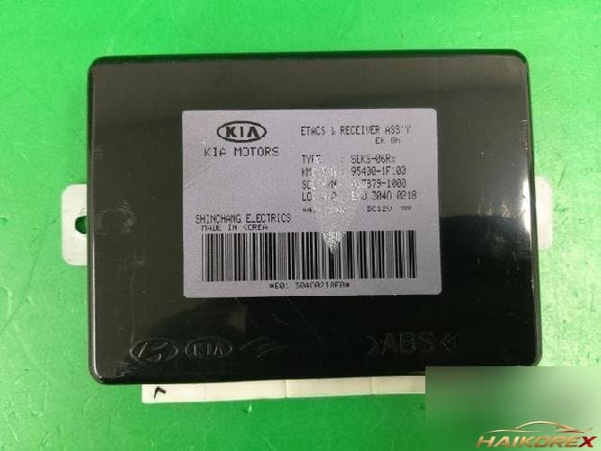 Kia Sportage 2005 — модуль ETACS/BCM 954001F100