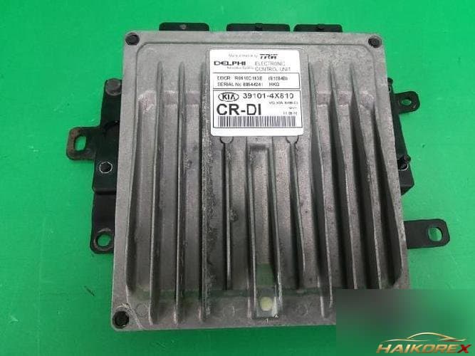 Kia Carnival 2007 — блок управления двигателя ECU 391014X810