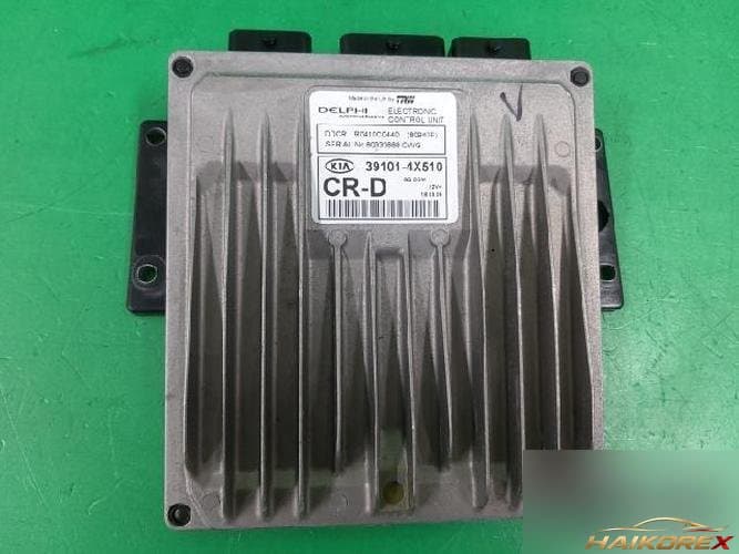 Kia Carnival 2003 — блок управления двигателем ECU 391014X510