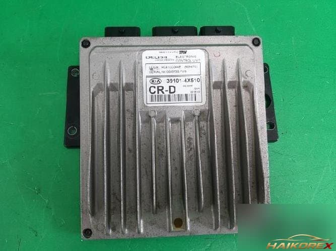 Kia Carnival 2002 — блок управления двигателем ECU 391014X510