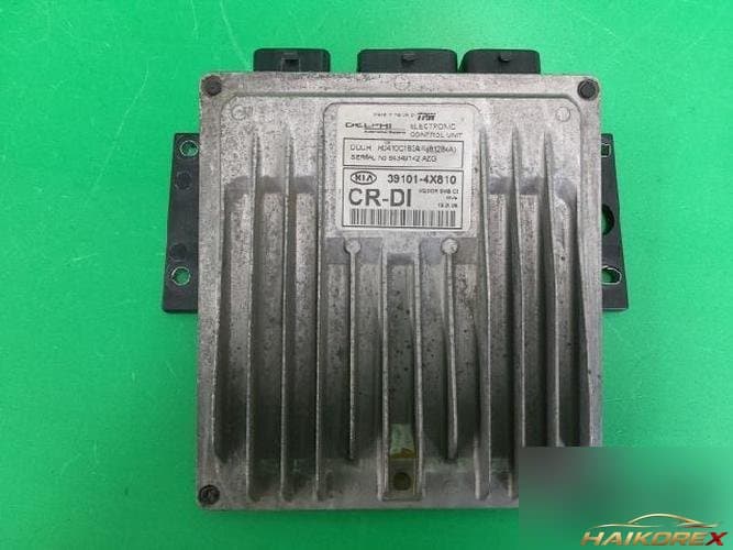 Kia Carnival 2006 — блок управления двигателем ECU 391014X810
