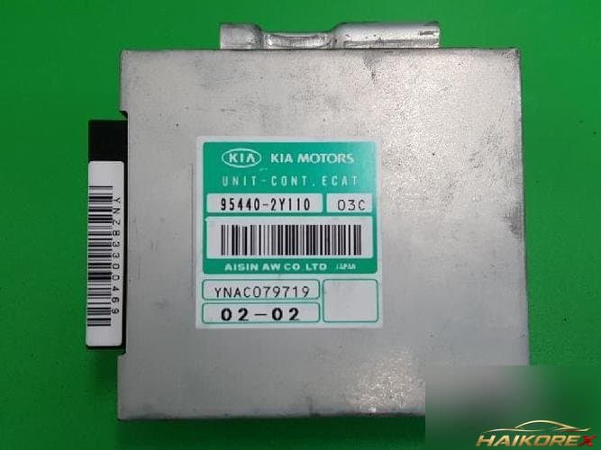 Kia Carnival 2003 TCU 954402Y110 3