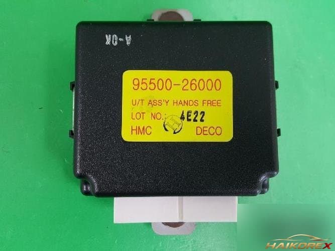 Hyundai Santa Fe 2004 — ETACS/BCM 9550026000