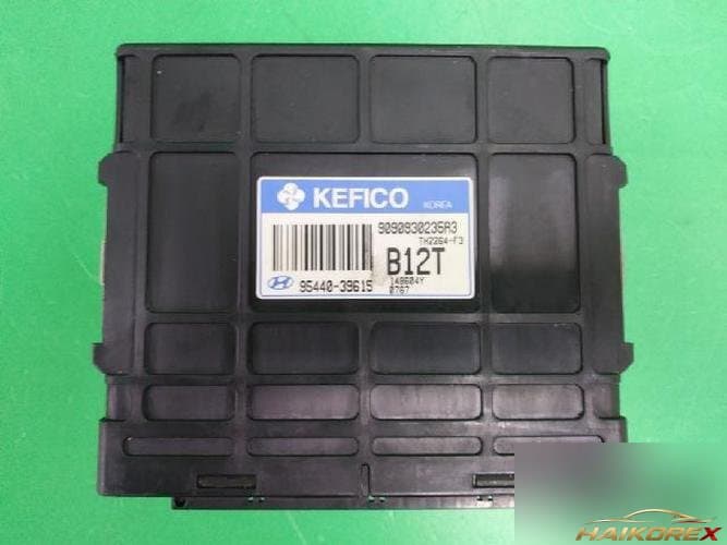 Hyundai Santa Fe 2004 — блок управления коробкой (TCU) 9544039615