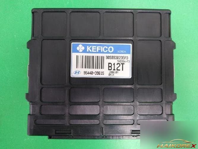 Hyundai Santa Fe 2003 — блок управления коробкой передач TCU 9544039615