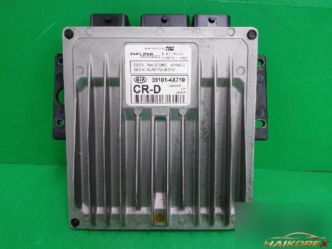 Kia Carnival 2005 — блок управления двигателем ECU 391014X710